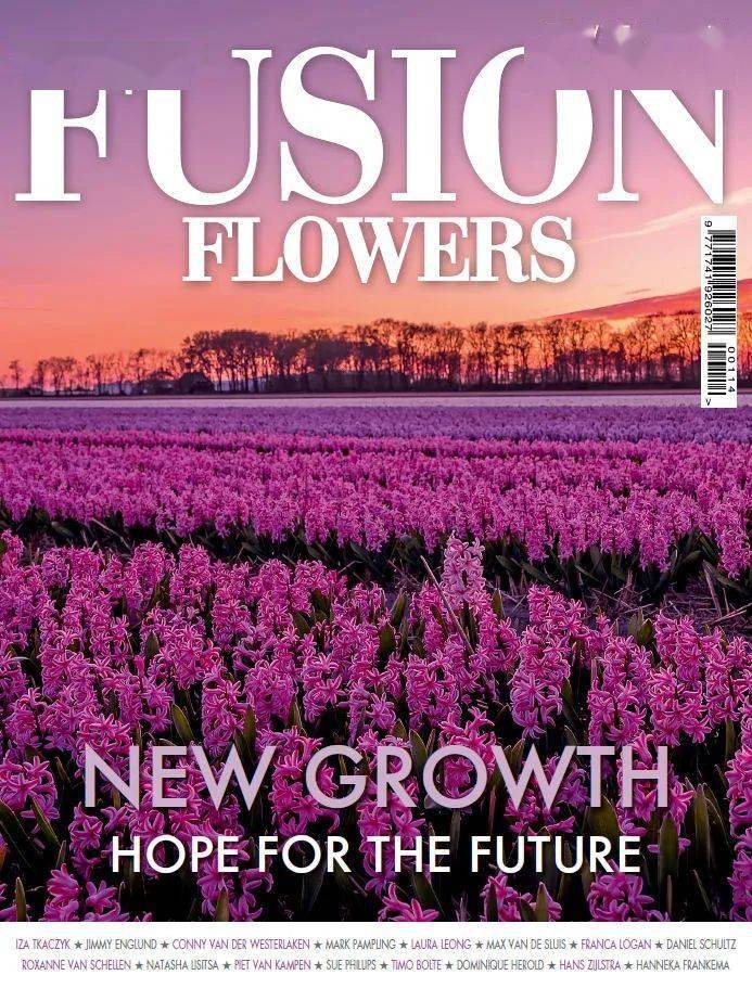 0815「fusion flowers」没错,就是alison bradley.