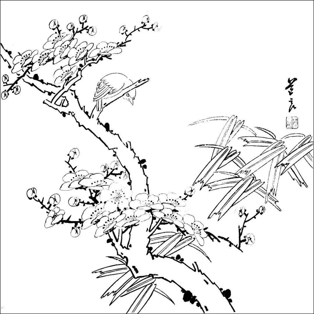 花鸟的白描,就应该这么画