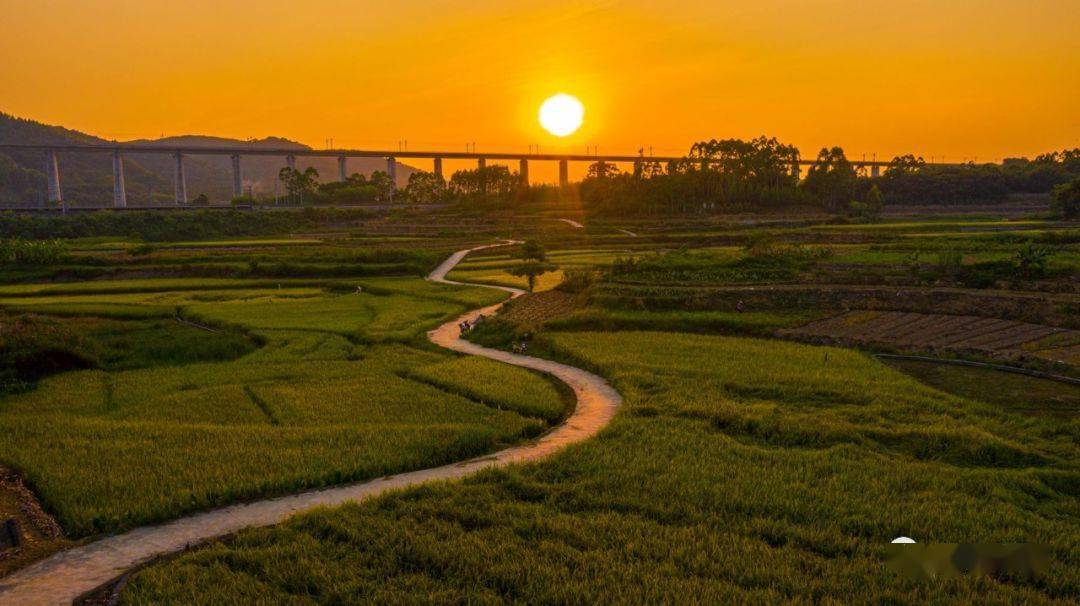 隆安金鸡滩图片