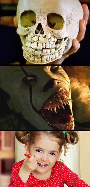 动物的头骨和外形反差有多大?食人魔的头骨来自猫咪