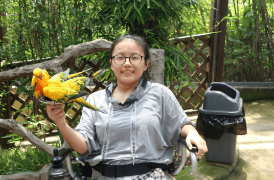 "轮椅上的少女"今年中考考了550分_思雅