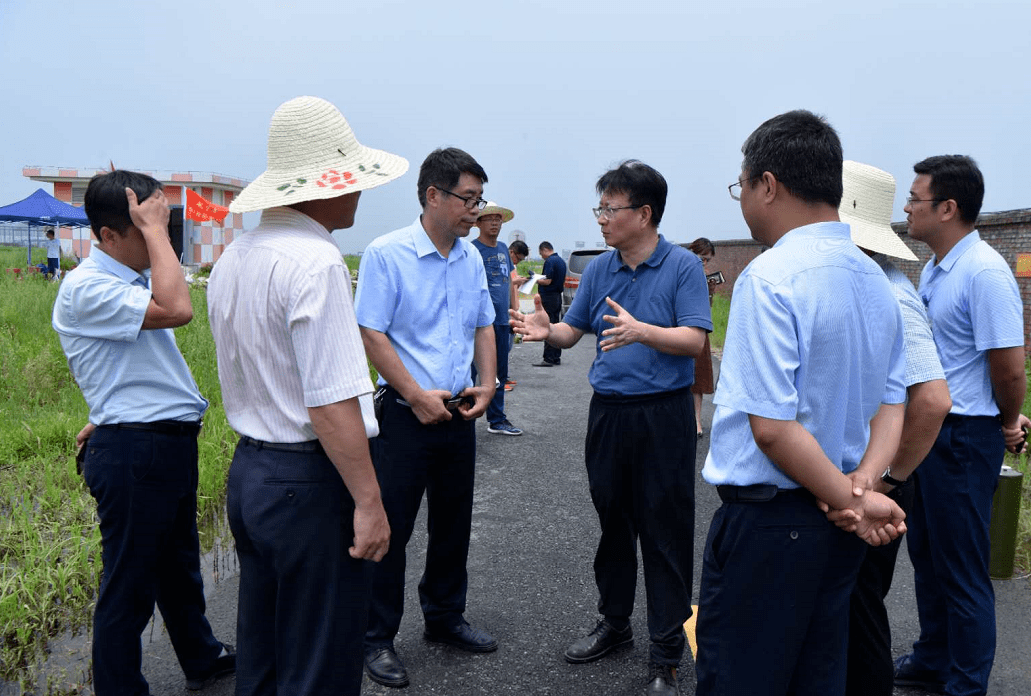 黄俊在督导查看防汛工作及项目推进时强调一手抓防汛排涝一手抓项目