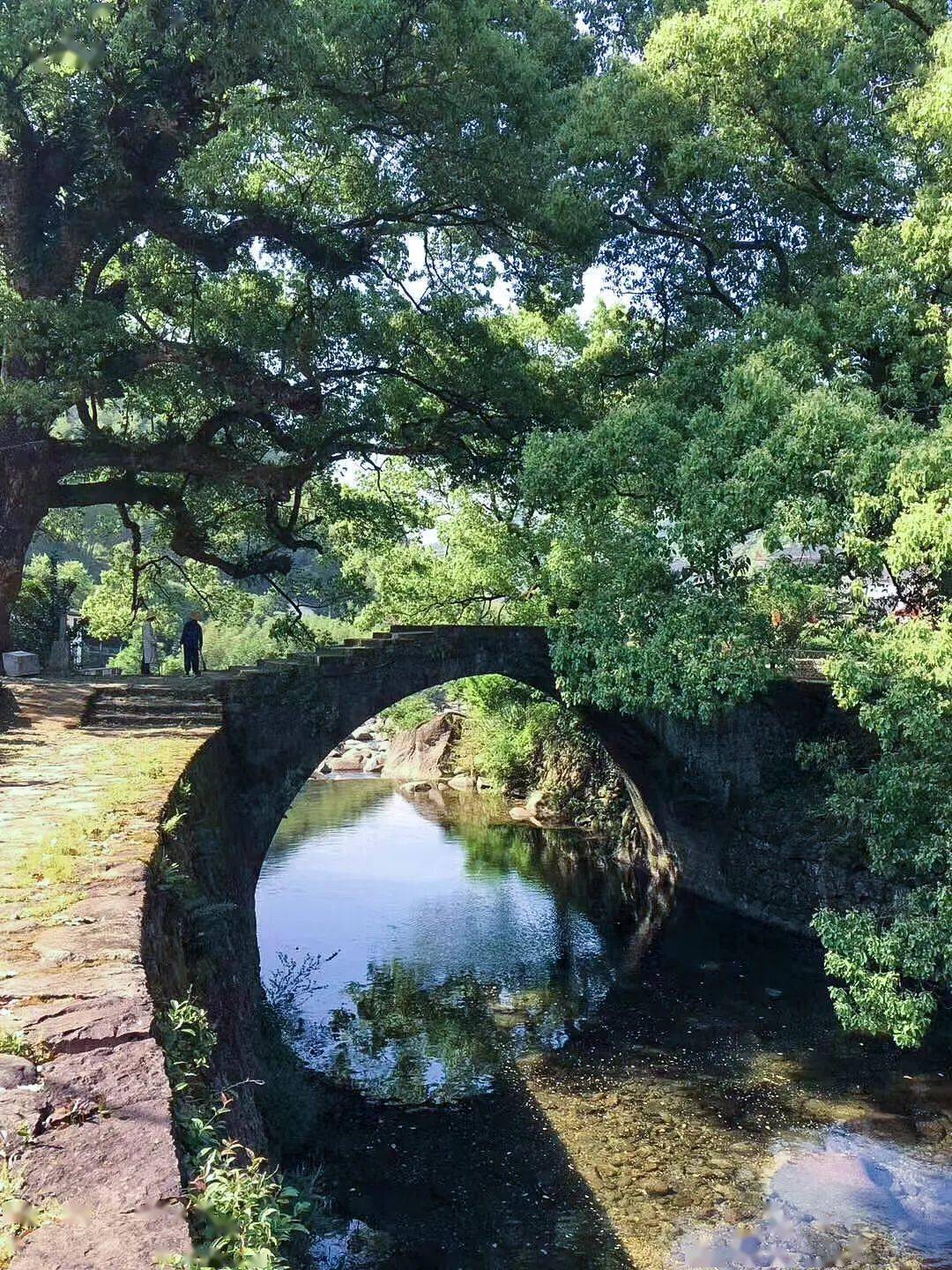 如画双溪:让这座梦里的江南水乡,承包你的夏日限定_双溪村