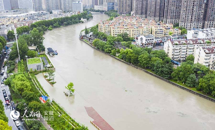 受降雨影响,南淝河水位上涨.张俊 摄