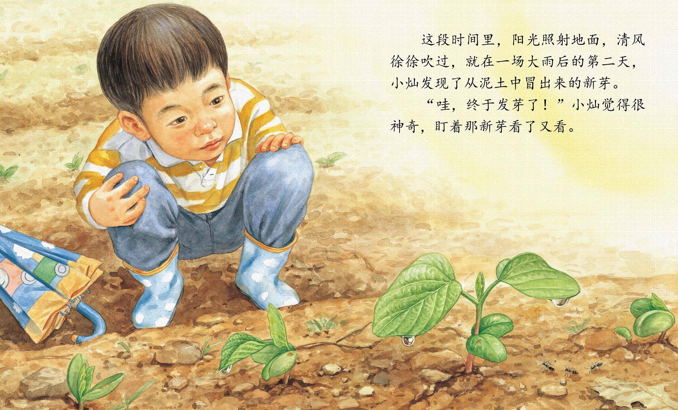 儿童绘本故事推荐《土地里长出的宝物》