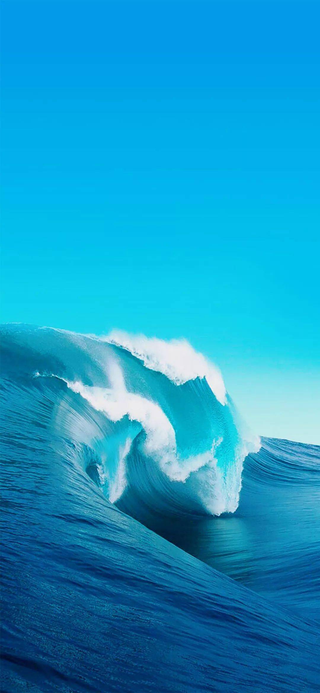 1080_2339竖版 竖屏