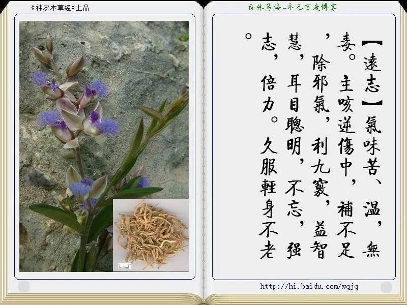 神农本草经全册图文解析珍藏