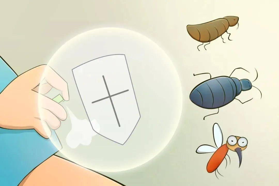辟谣这些网传驱蚊大法你试过几个都不靠谱