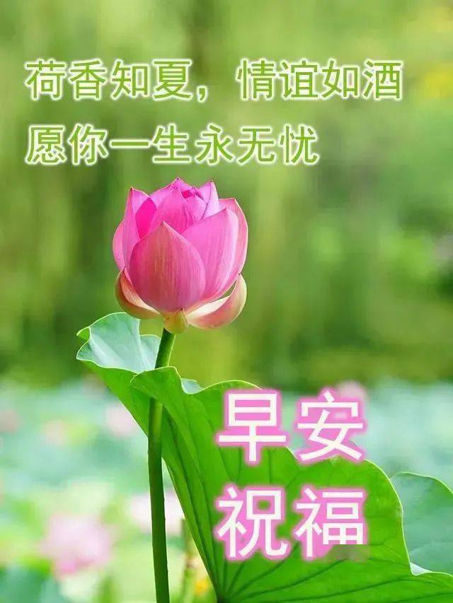 7月最新早安问候祝福图片带字温馨