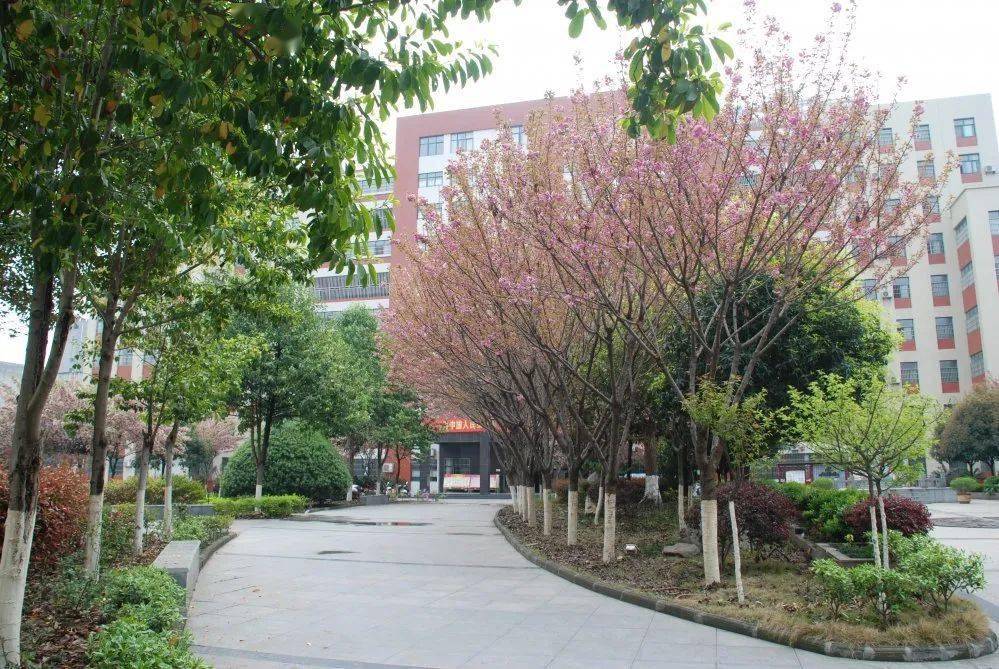 招生汉滨高级中学2020年秋季高一招生简章附报考指南