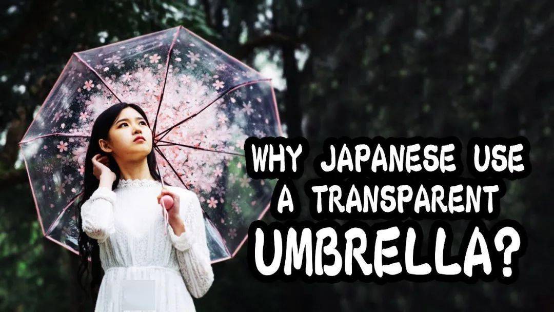 为什么日本人喜欢用透明雨伞