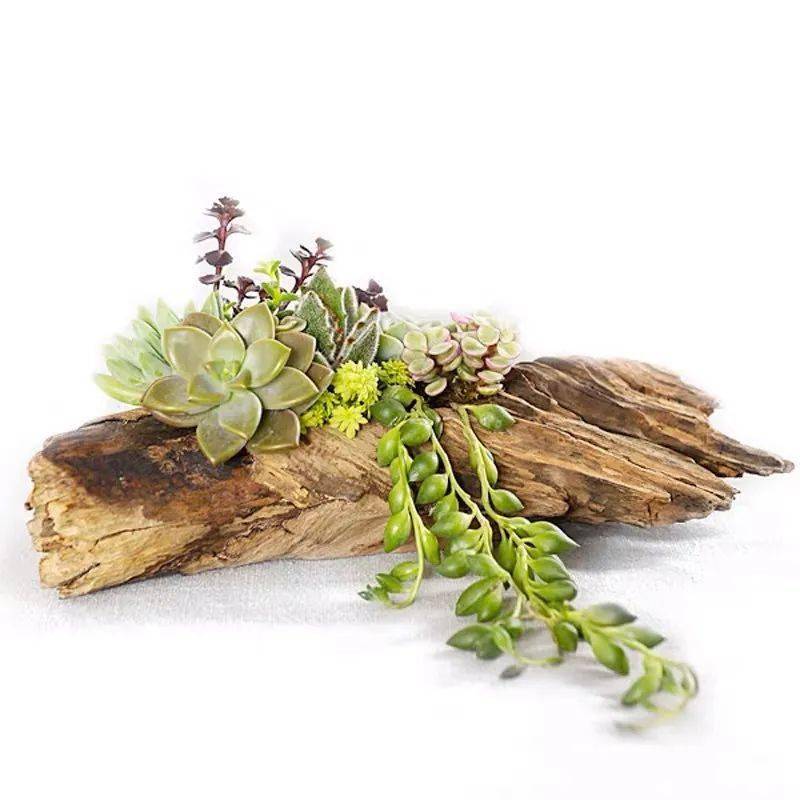 树根盆景建筑废料假山泡沫假山盆景2020"旧盆新意境",泡沫,泥土,树根