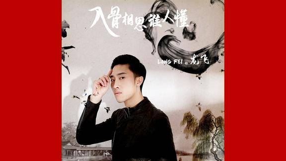 龙飞新情歌入骨相思谁人懂陈金文作词凡间精灵作曲