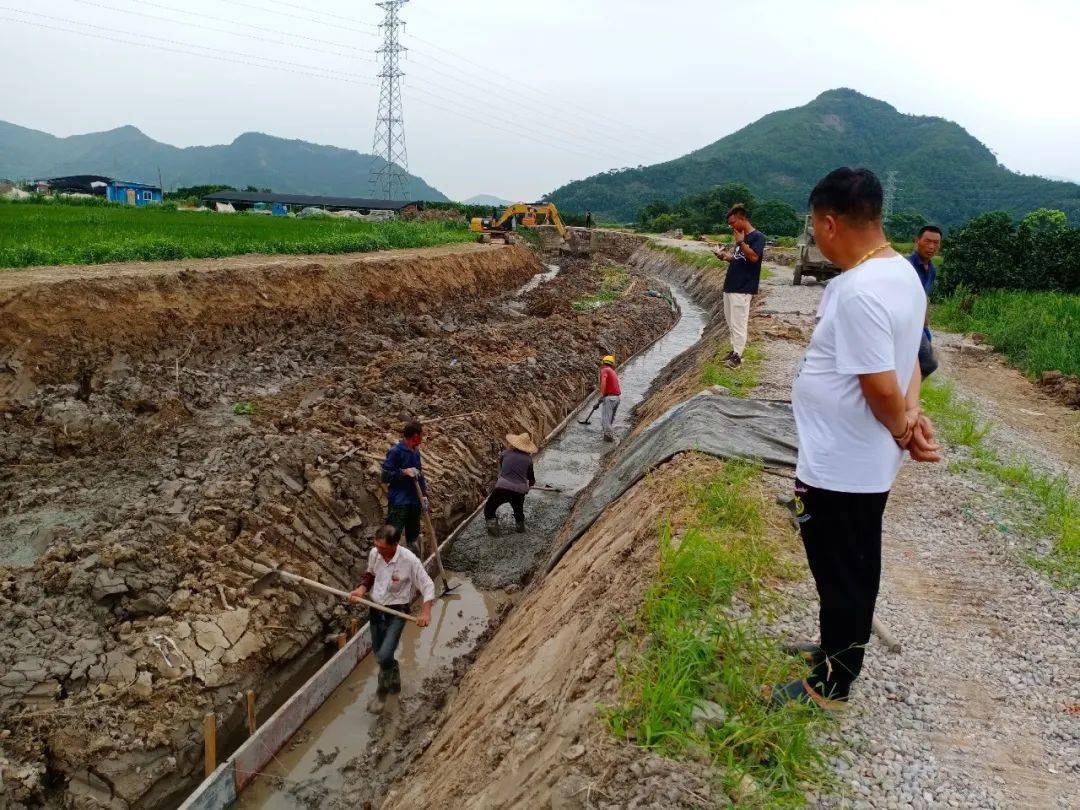 河道整治任务重,不折不扣抓进度|桃渚镇积极推进五水共治工作