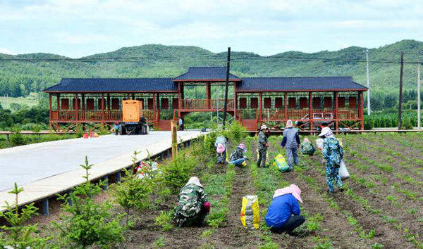 南岔县沙山村北药产业示范园区.