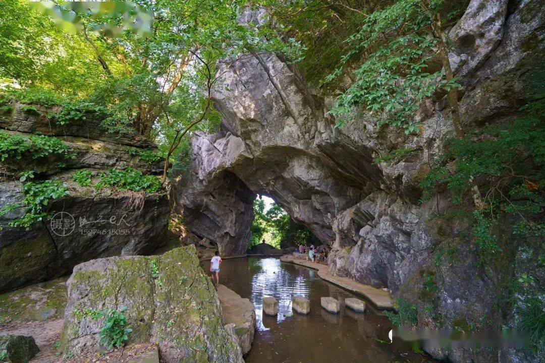 其侧又有小石山重叠玲珑若盆景,无土壤而生嘉木,让人惊奇.而更奇