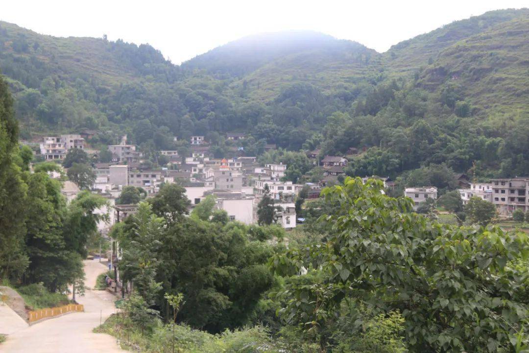 沿河夹石镇干群勠力同心打好脱贫组合拳