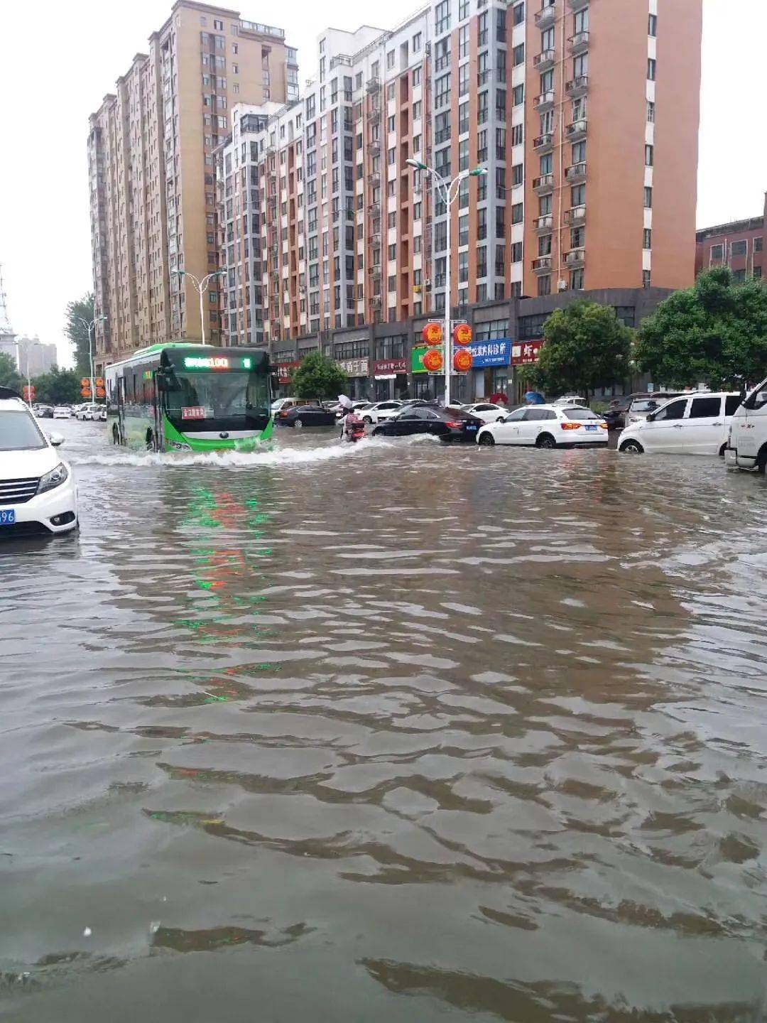一场大雨突袭 漯河已启动三级应急响应