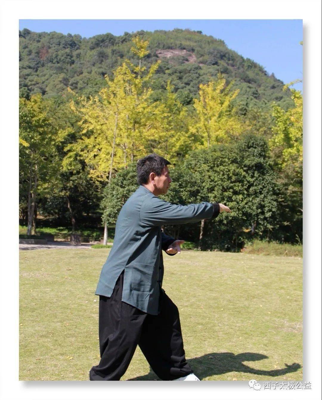 太极拳十大腿法(三)高探马