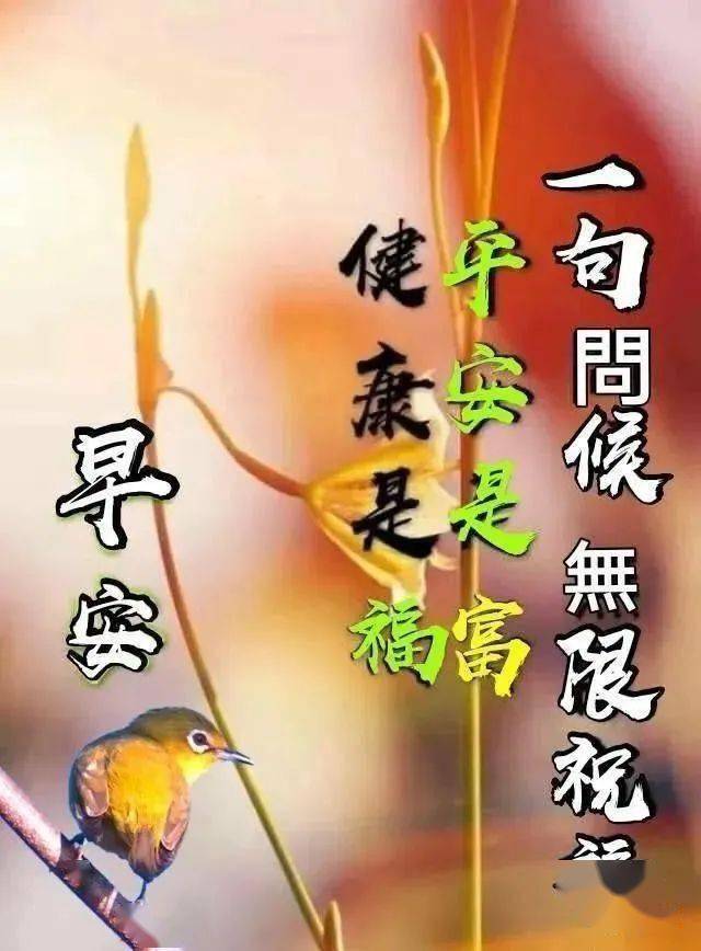 早上好問候美圖早安問候語句