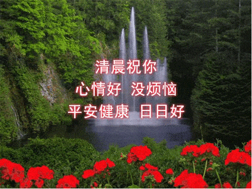 聊天不用打字的图片,好美!