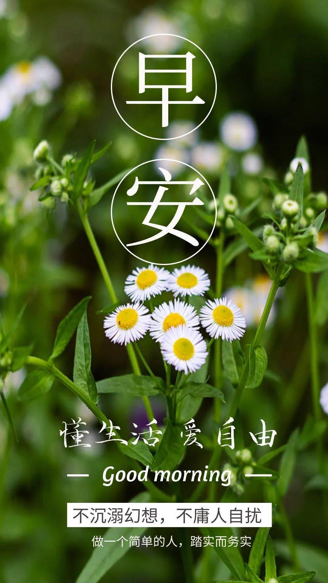 每日一句正能量人生感悟