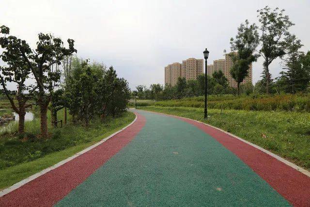 滕州高铁新区海绵城市建设各条道路无一处积水现象