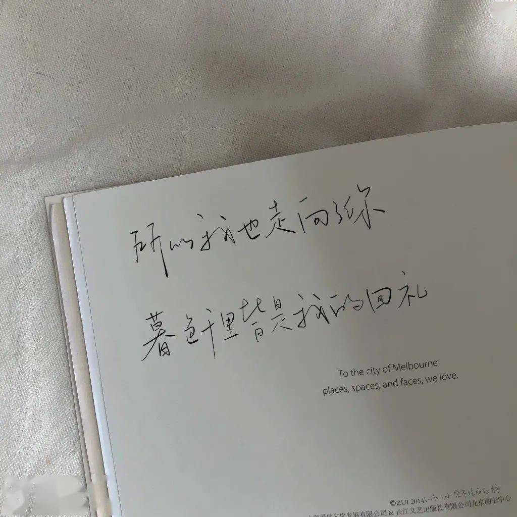 背景图你的偏爱就是救赎