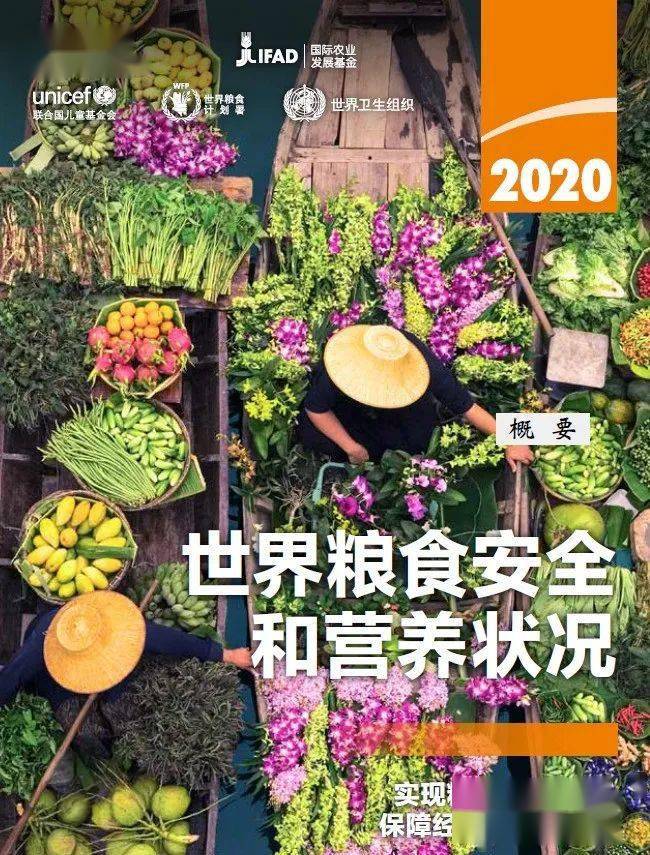 报告前瞻丨2020《世界粮食安全和营养状况》