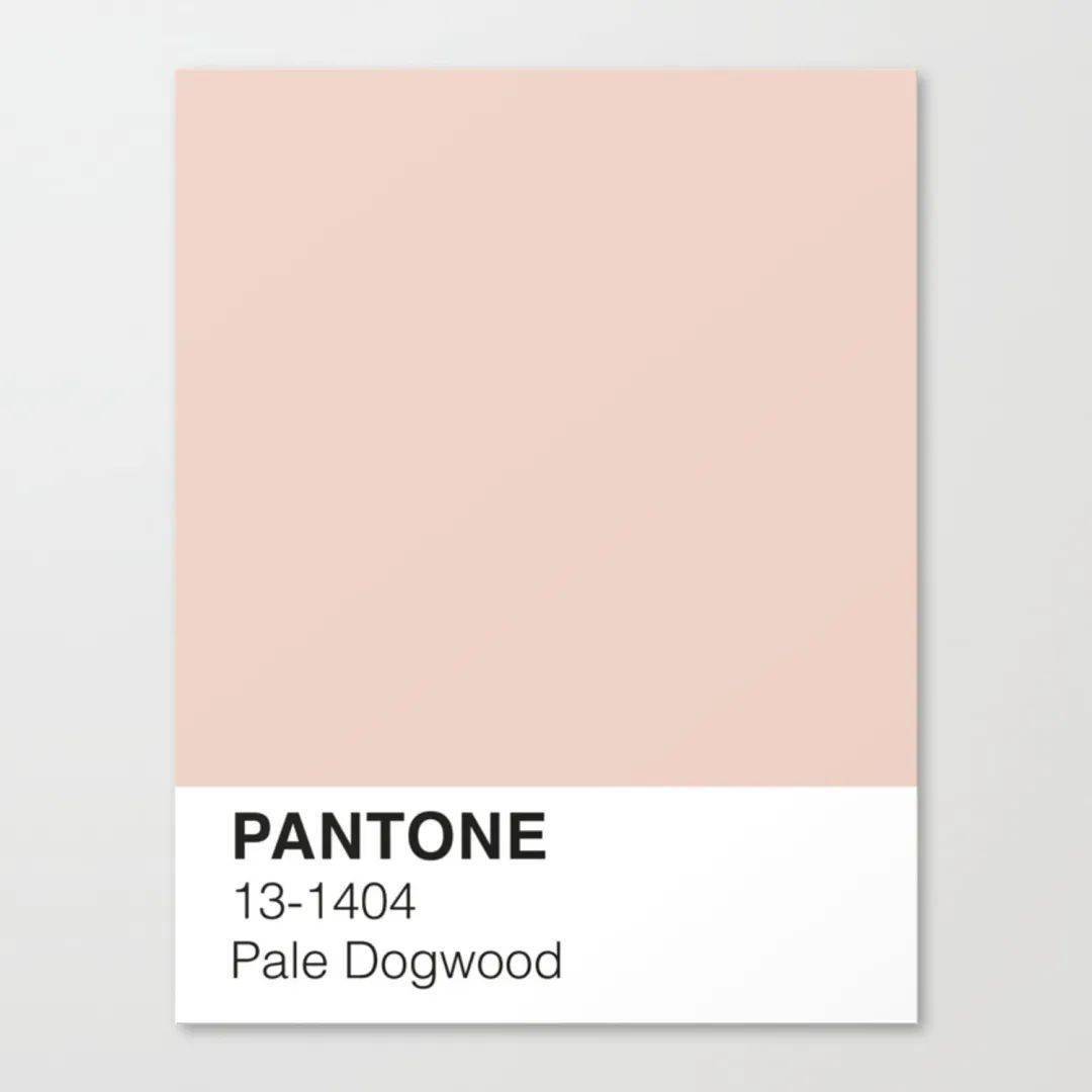 如何让男朋友分清这些粉色?