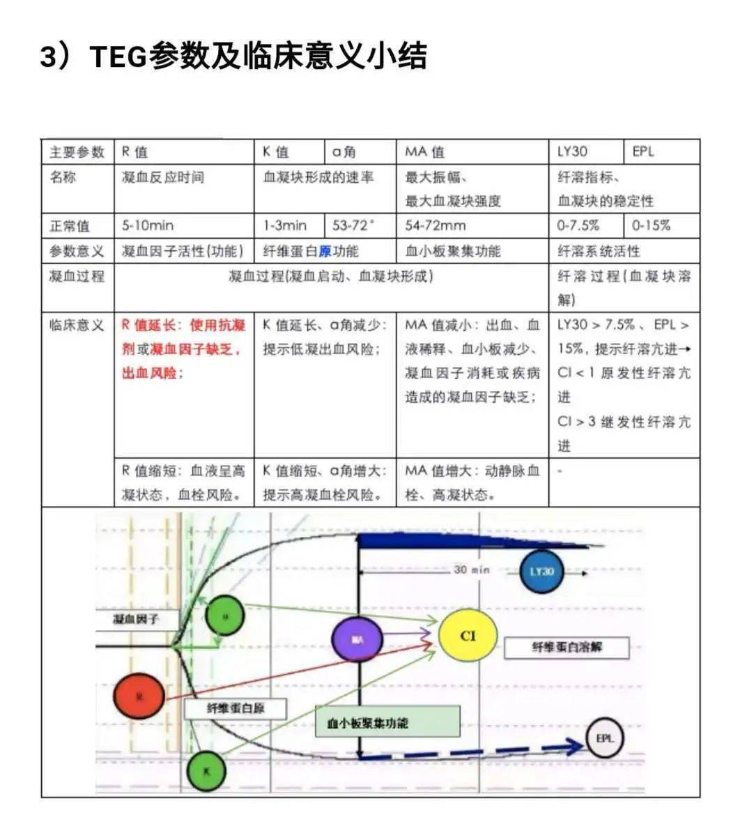 查血栓弹力图的意义图片