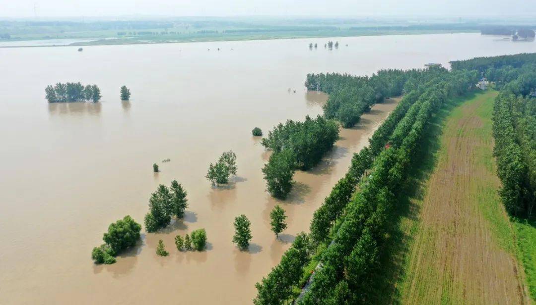 淮河水位超警戒,县委书记李爱华提出这些要求,全县闻"汛"而动