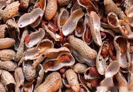 误区3:花生壳算其他垃圾常用的塑料袋,即使是可以降解的,也远比厨余