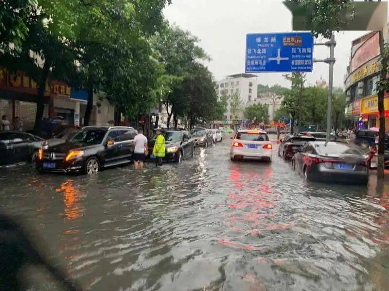 阆中大雨图片