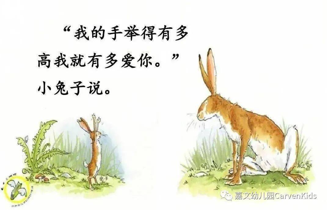 嘉文幼儿园绘本阅读猜猜我有多爱你