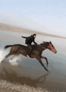 搞笑gif这货也能上地跌