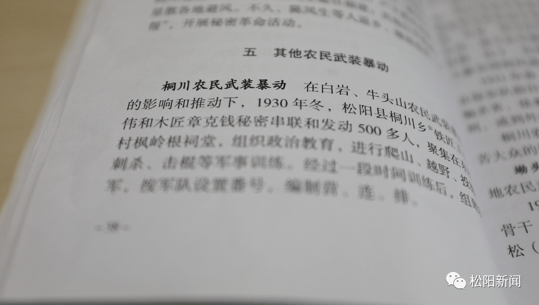 90年前松阳的这场农民武装暴动开辟了畲汉共同抗争的革命道路