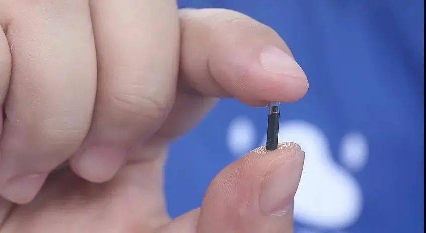 芯片有效期是15年以上,远远超过一般犬只寿命,可以终身相伴.