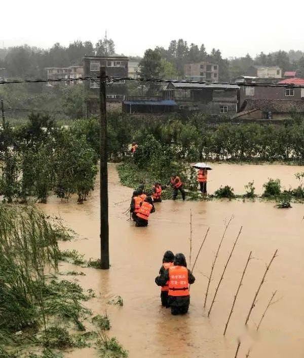 建始长梁209国道征地图片