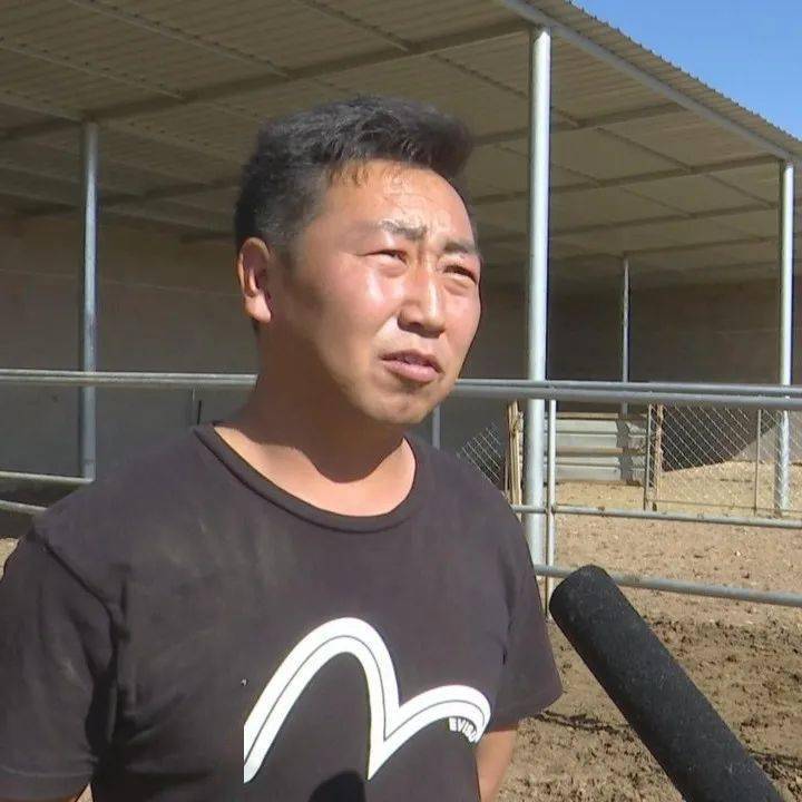 巴彦高勒苏木:让农牧民依"驼"而富