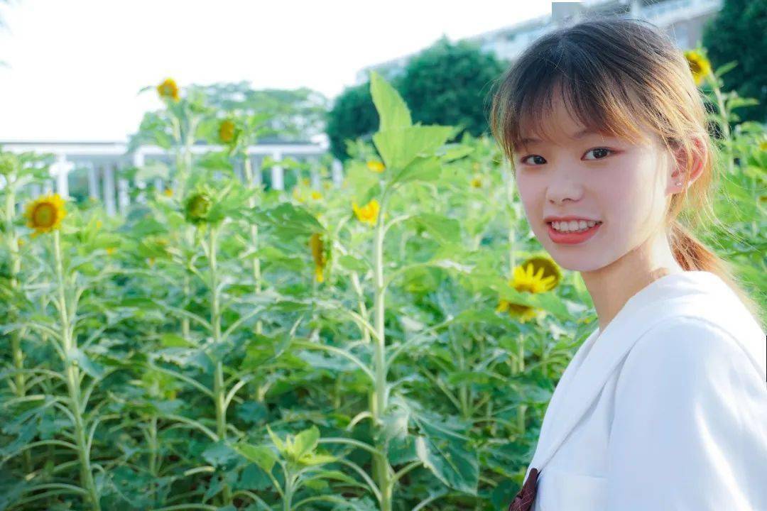 03 陈子玉《南职晚霞》↑02 吴远志《金葵湖》↑01