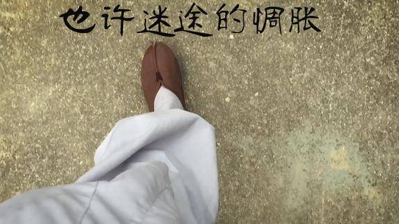 也许迷途的惆怅会撤碎我的交班布可我相信未来给我一双翅膀