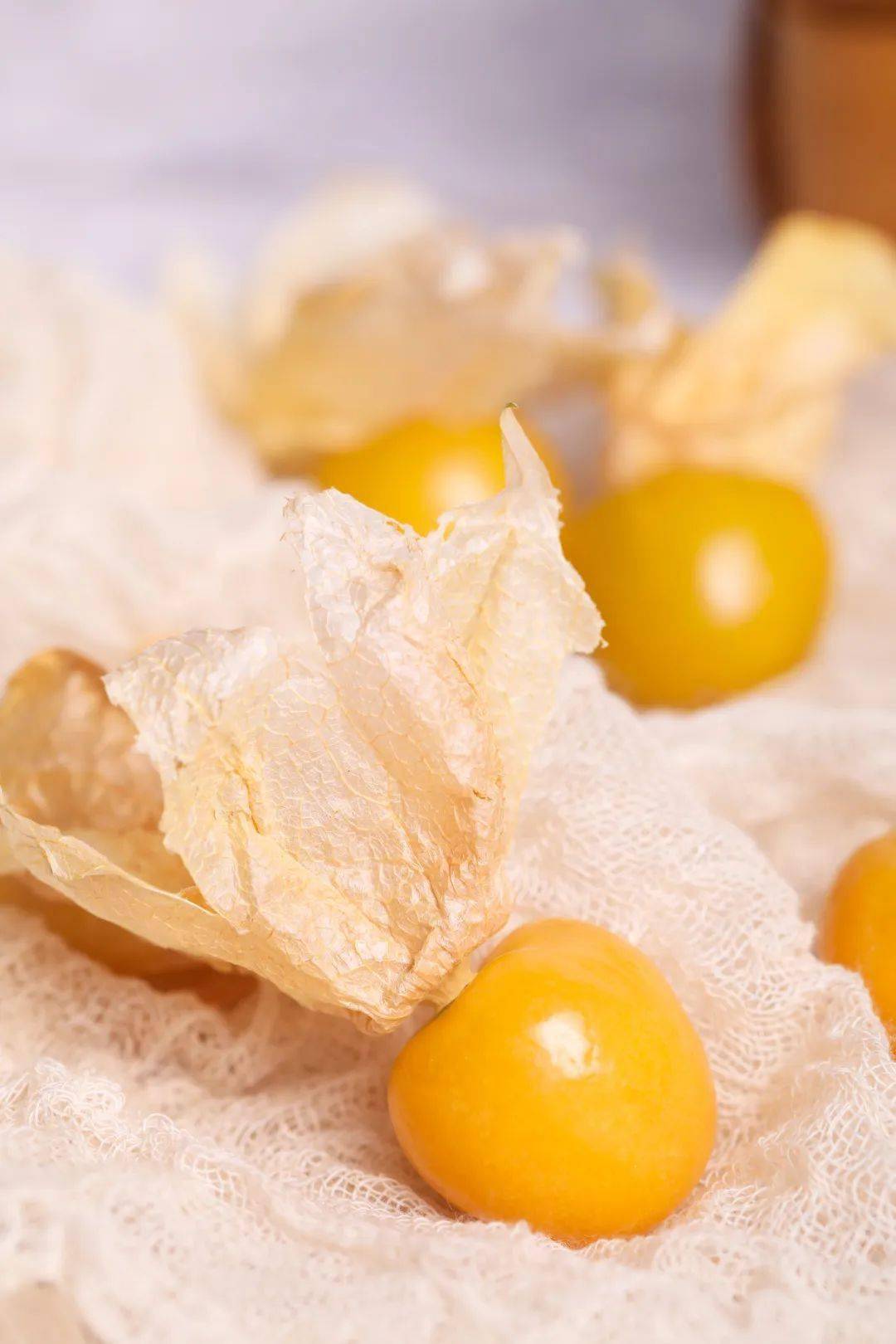 一口一爆浆的菇娘果北方人盼1年又奶香又芒香超上瘾