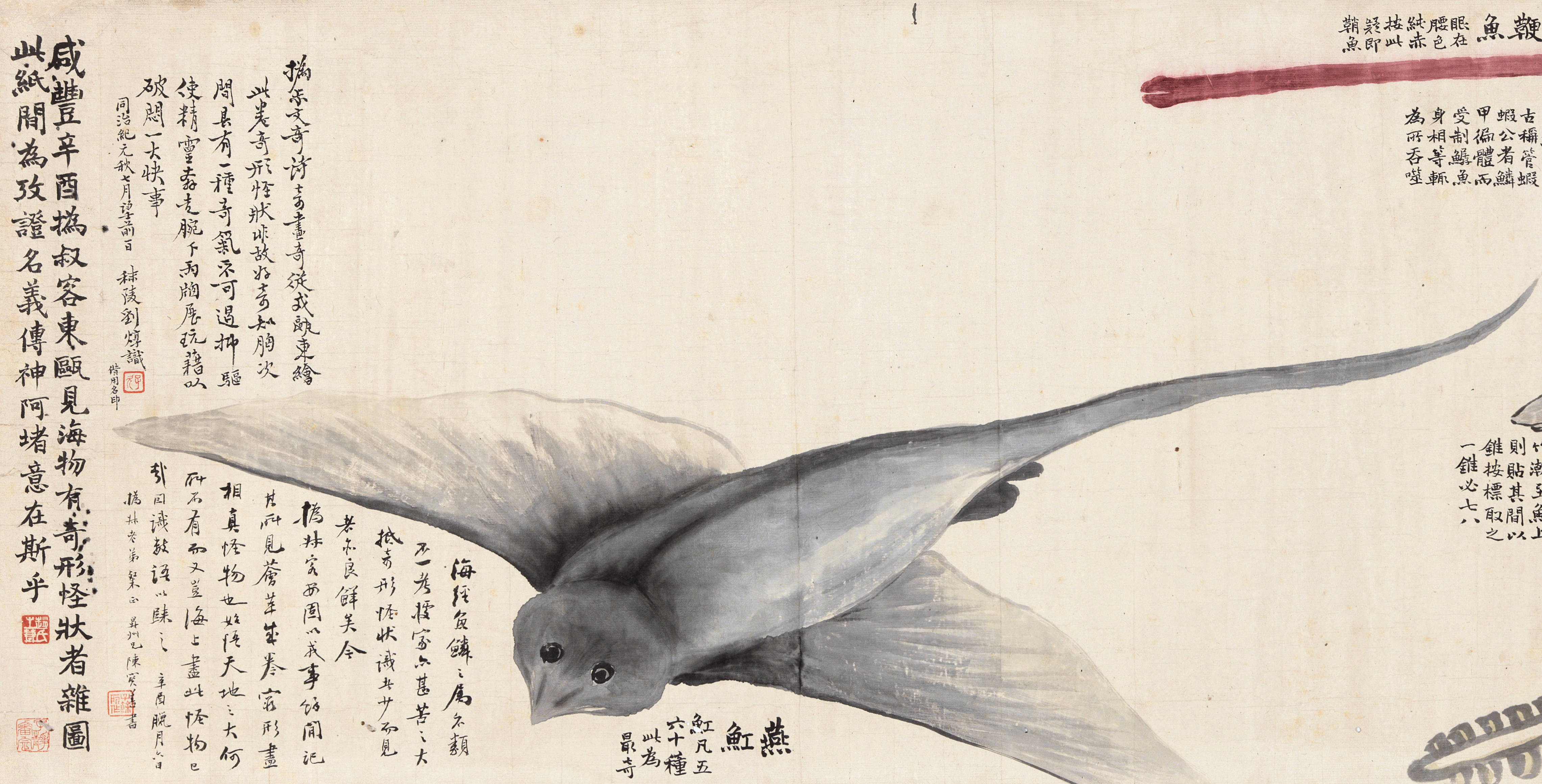 清代赵之谦《异鱼图》的"奇趣"与海洋生物