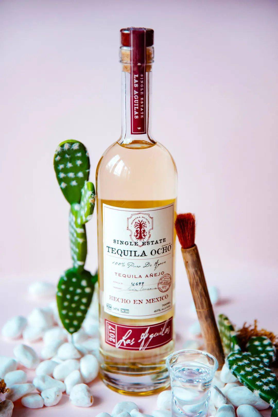 迪可派与田园8号的缤纷欢聚|卡慕远流首席执行官张启泉eric dew先生