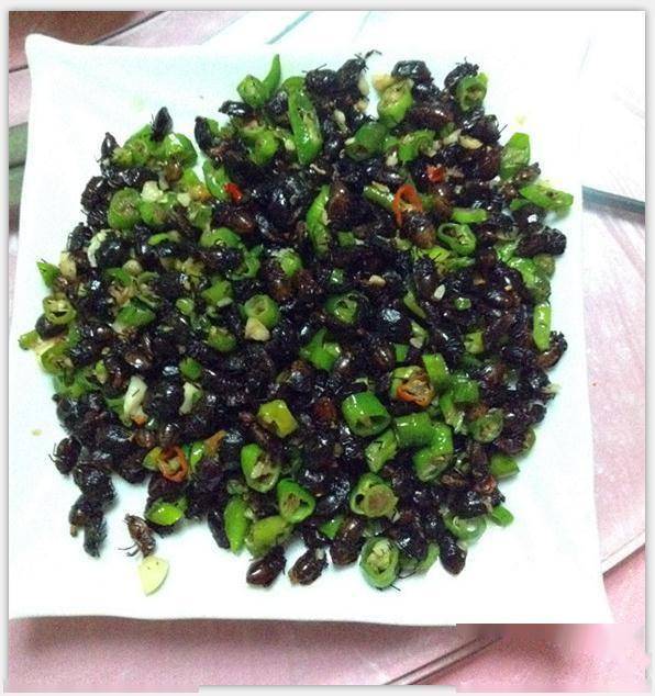 奇葩指数:★★★★☆top2:炒九香虫因为卖相及制作独特,被称作"牛粪