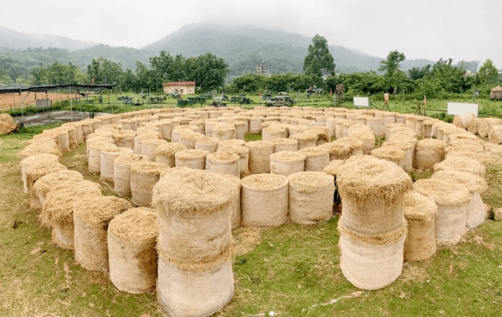 100亩农场,把"稻草"做成草垛乐园,刚开业就成为网红打卡地!_金农