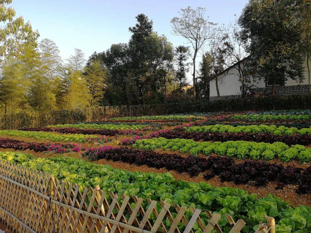 賀邵溪村