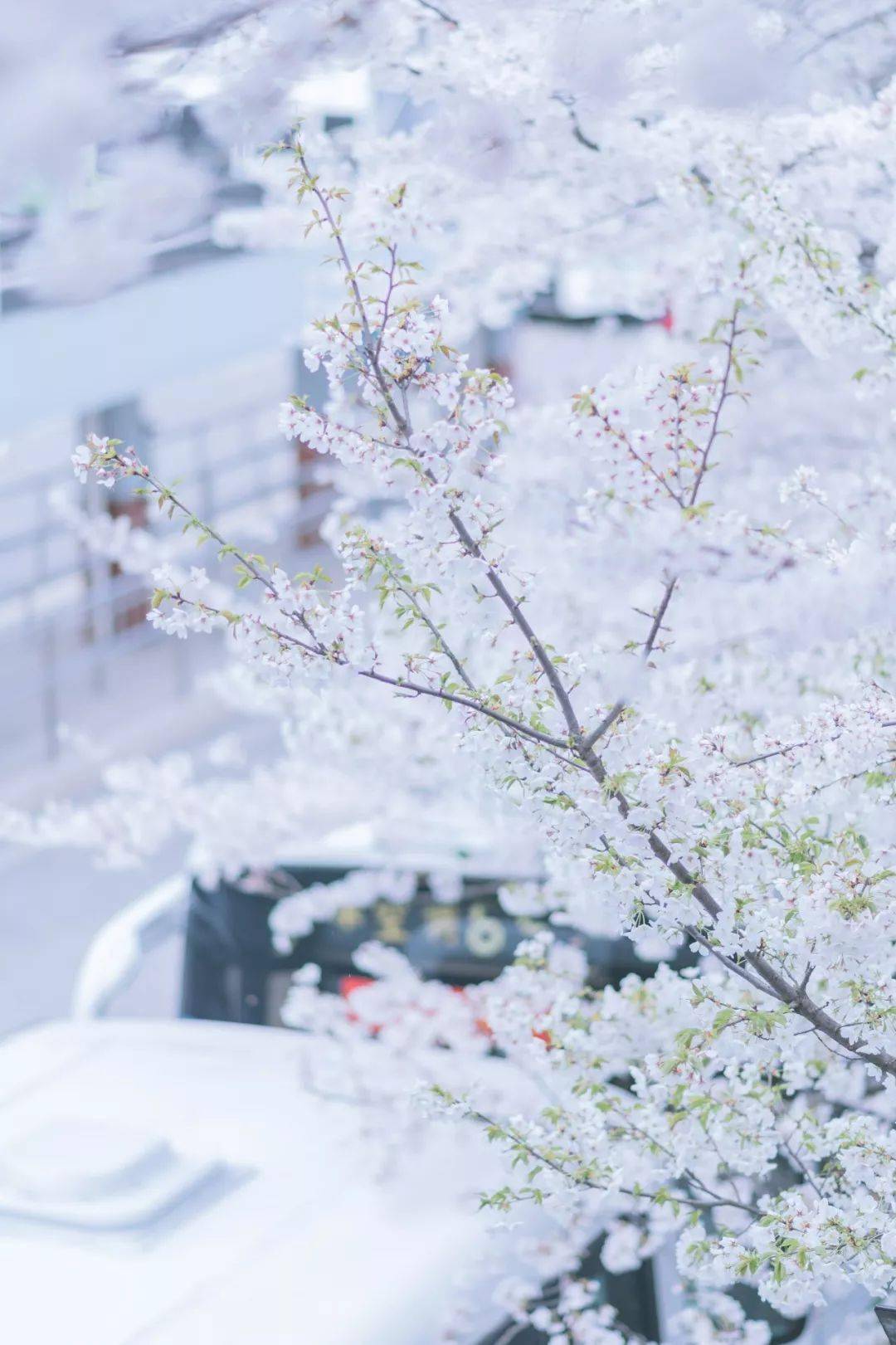 小二郎学堂66个名句的出处终于找全了