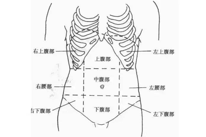 而是上,中,下腹部三个单独位置,这三个位置的界限如何划分,是很多扫描